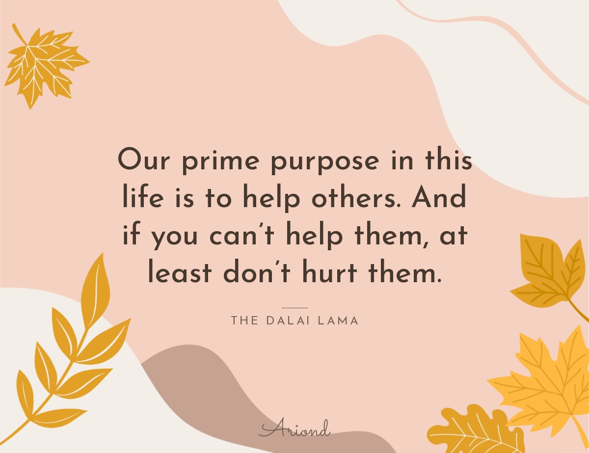 Quote card reading “Our prime purpose in this life is to help others. And if you can’t help them, at least don’t hurt them.” — The Dalai Lama, on a autumn floral background